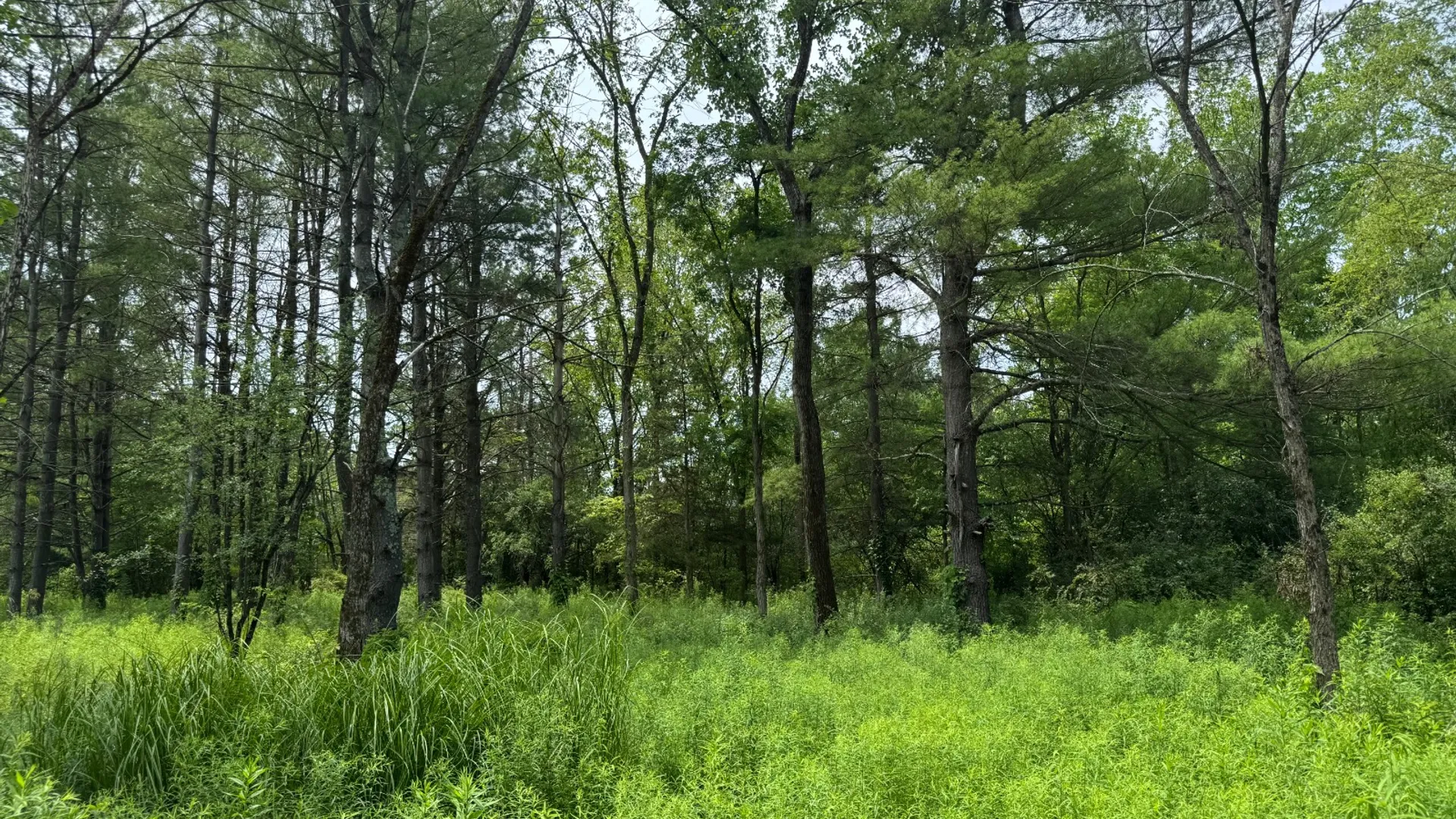 Property at 34 Gunpowder Dr, Athens, NY 12015 14