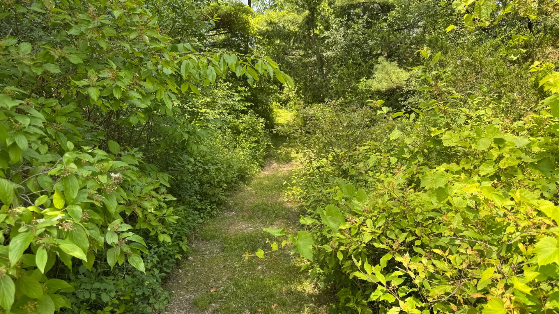 Property at 34 Gunpowder Dr, Athens, NY 12015 15