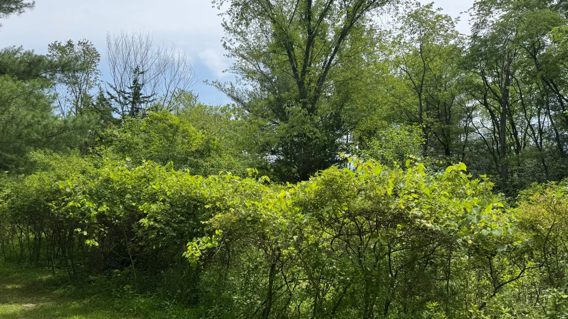 Property at 34 Gunpowder Dr, Athens, NY 12015 2