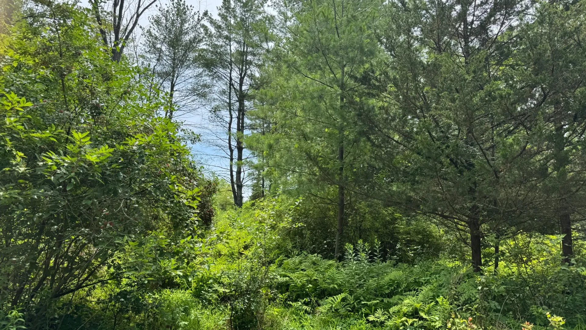 Property at 34 Gunpowder Dr, Athens, NY 12015 8