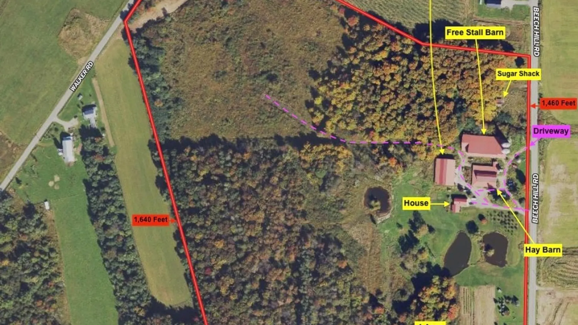 Property at 7057 Beech Hill Road, Chautauqua, NY 14728 3