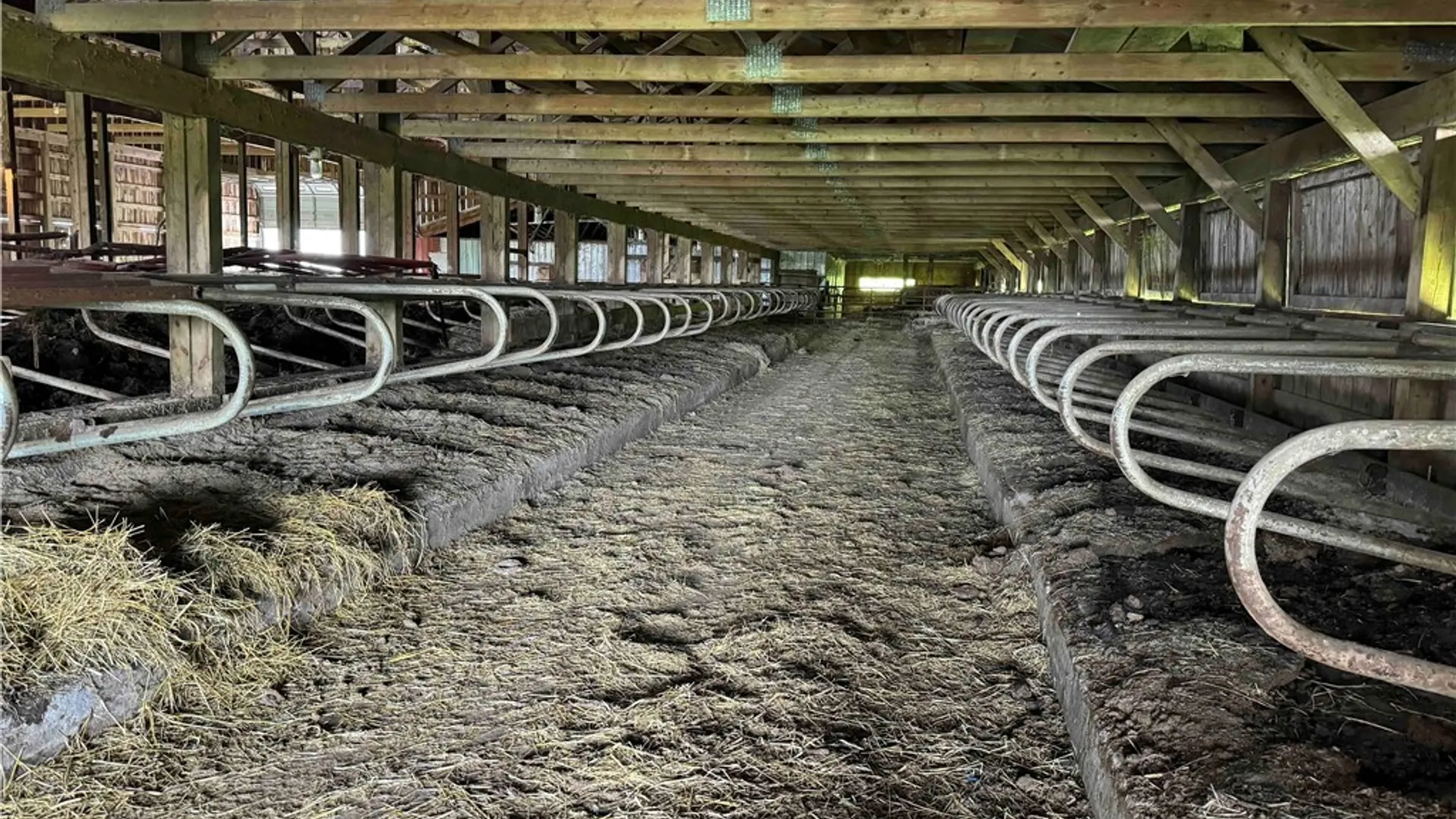 Property at 7057 Beech Hill Road, Chautauqua, NY 14728 37