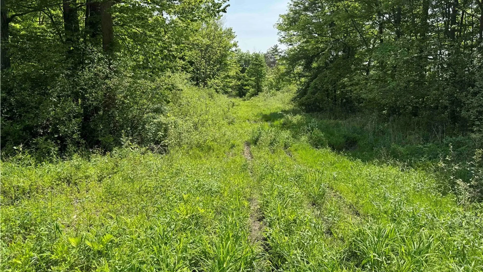 Property at 7057 Beech Hill Road, Chautauqua, NY 14728 47