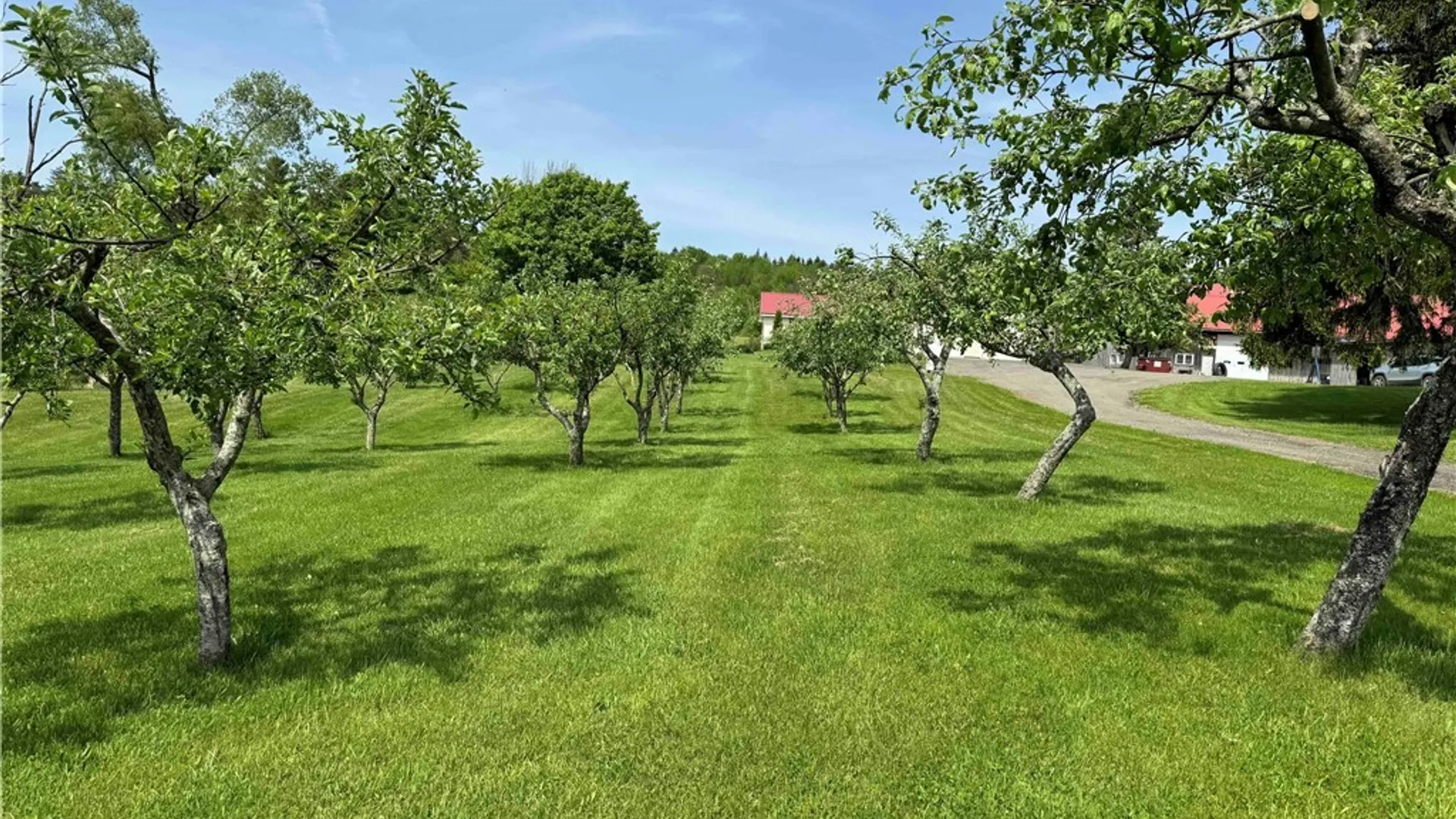 Property at 7057 Beech Hill Road, Chautauqua, NY 14728 48