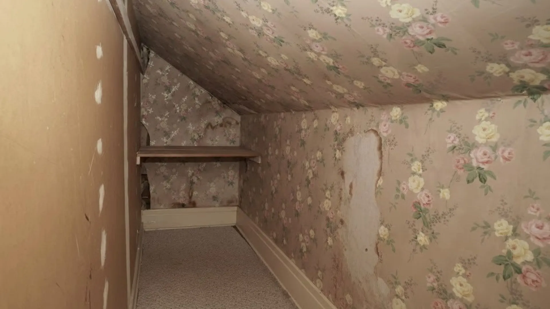 Property at 81 Eckerson Avenue, Newstead, NY 14001 22