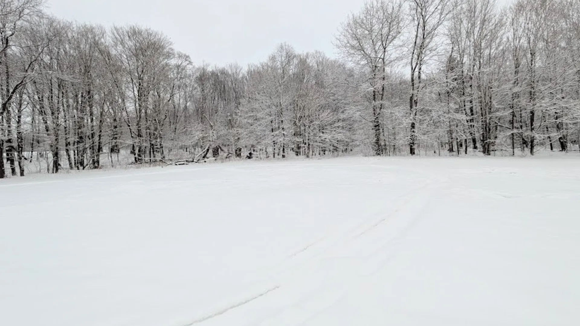 Property at 474 Dibble Road, Harpersfield, NY 13788 28