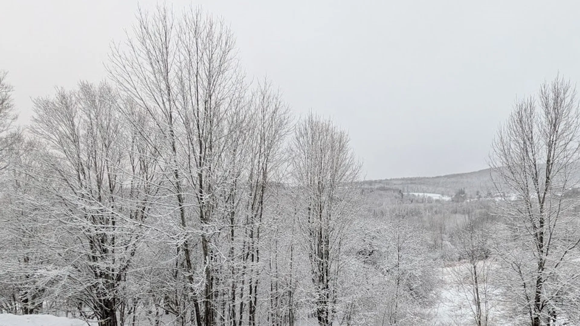 Property at 474 Dibble Road, Harpersfield, NY 13788 29