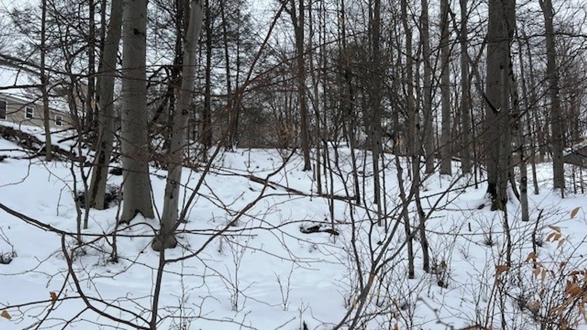 Property at 00 Fancher Ave, Sterling, NY 13064 4