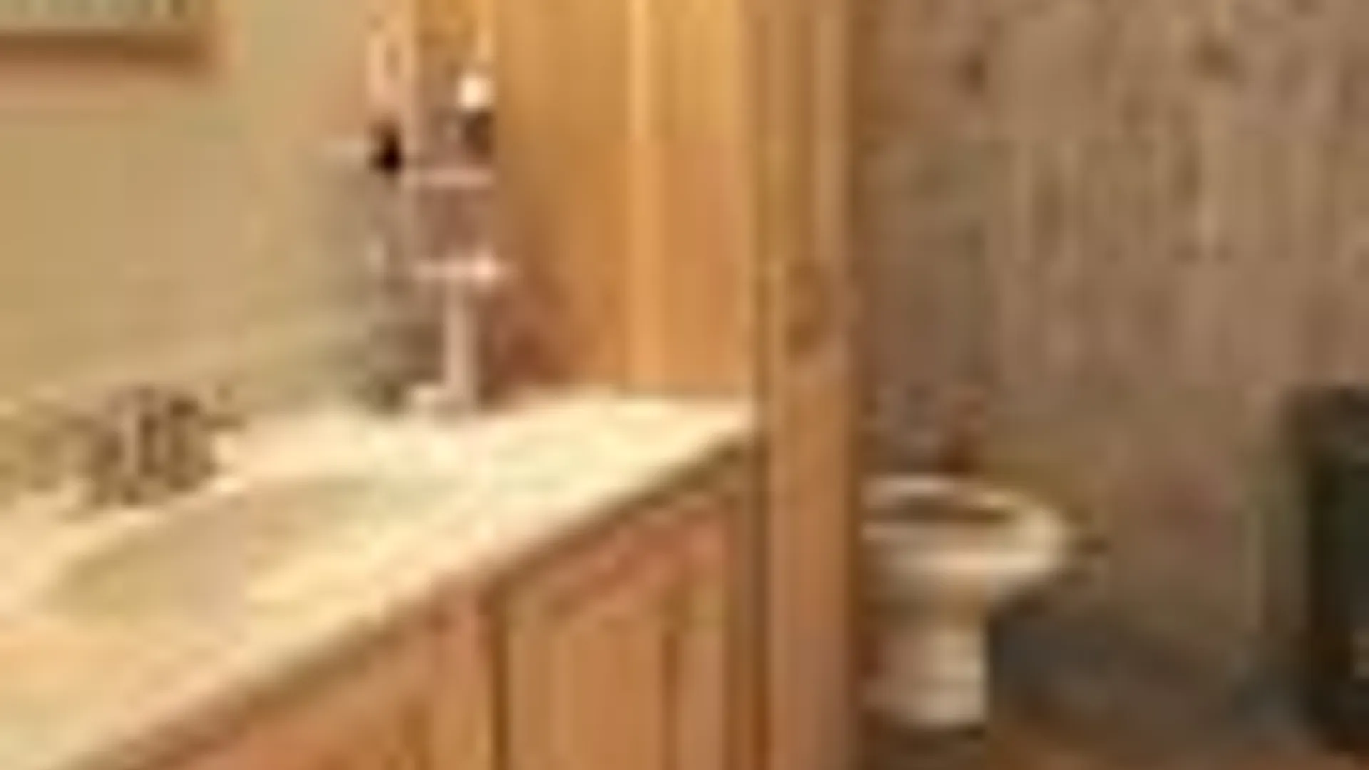 Property at 89 zinno rd, Ashland, NY 12407 14