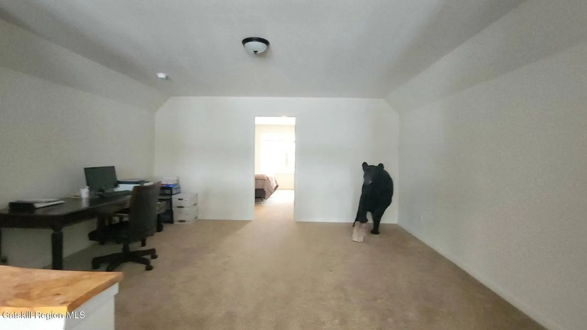 Property at 89 zinno rd, Ashland, NY 12407 15