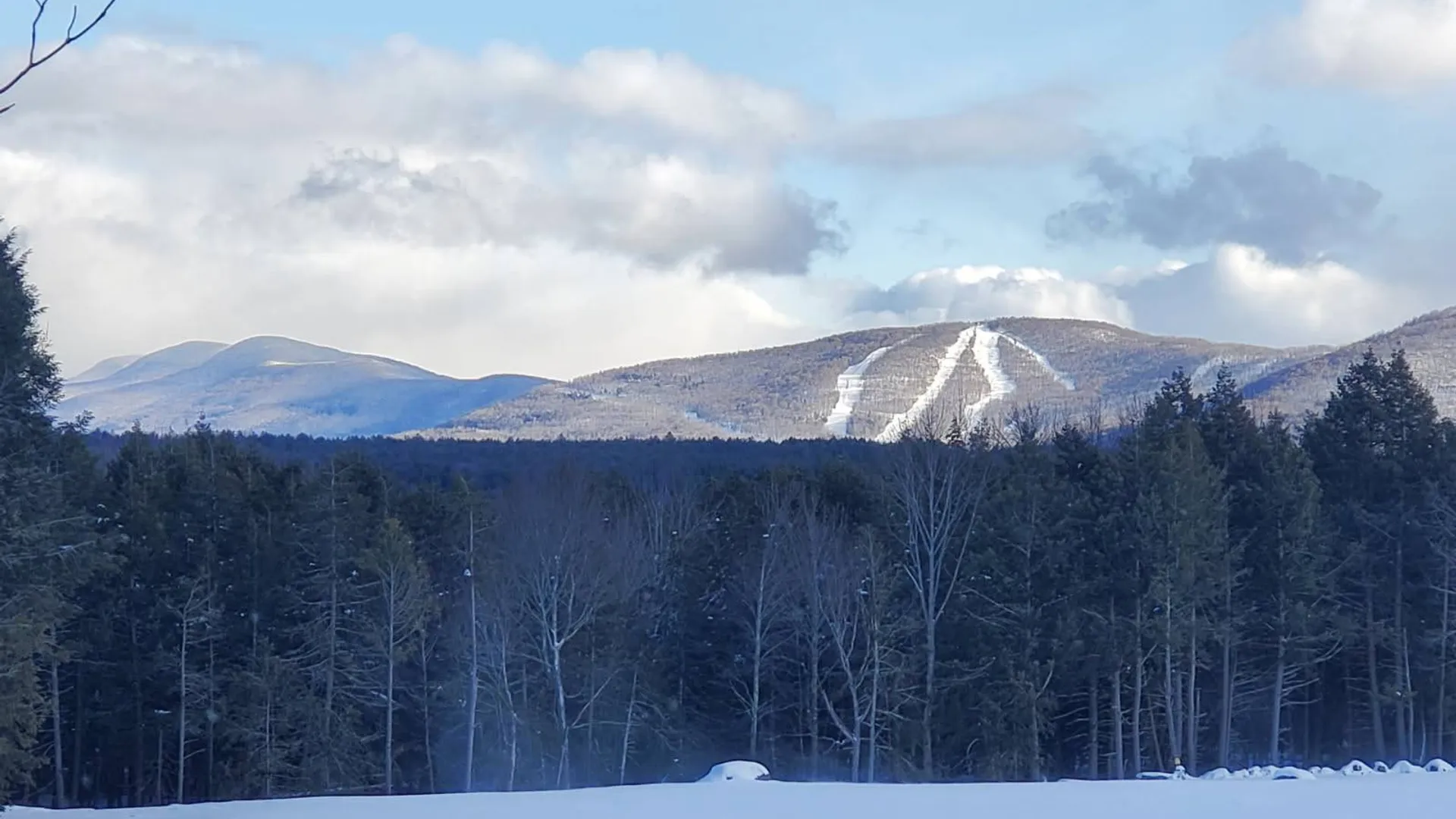 Property at 89 zinno rd, Ashland, NY 12407 17