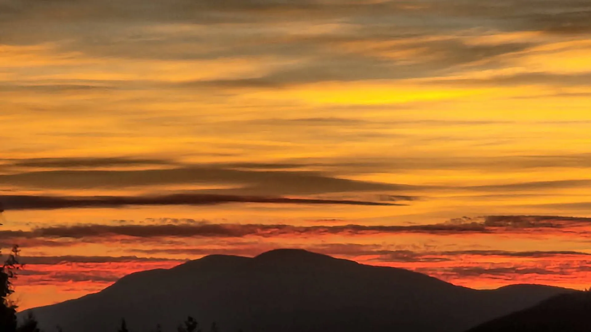 Property at 89 zinno rd, Ashland, NY 12407 25