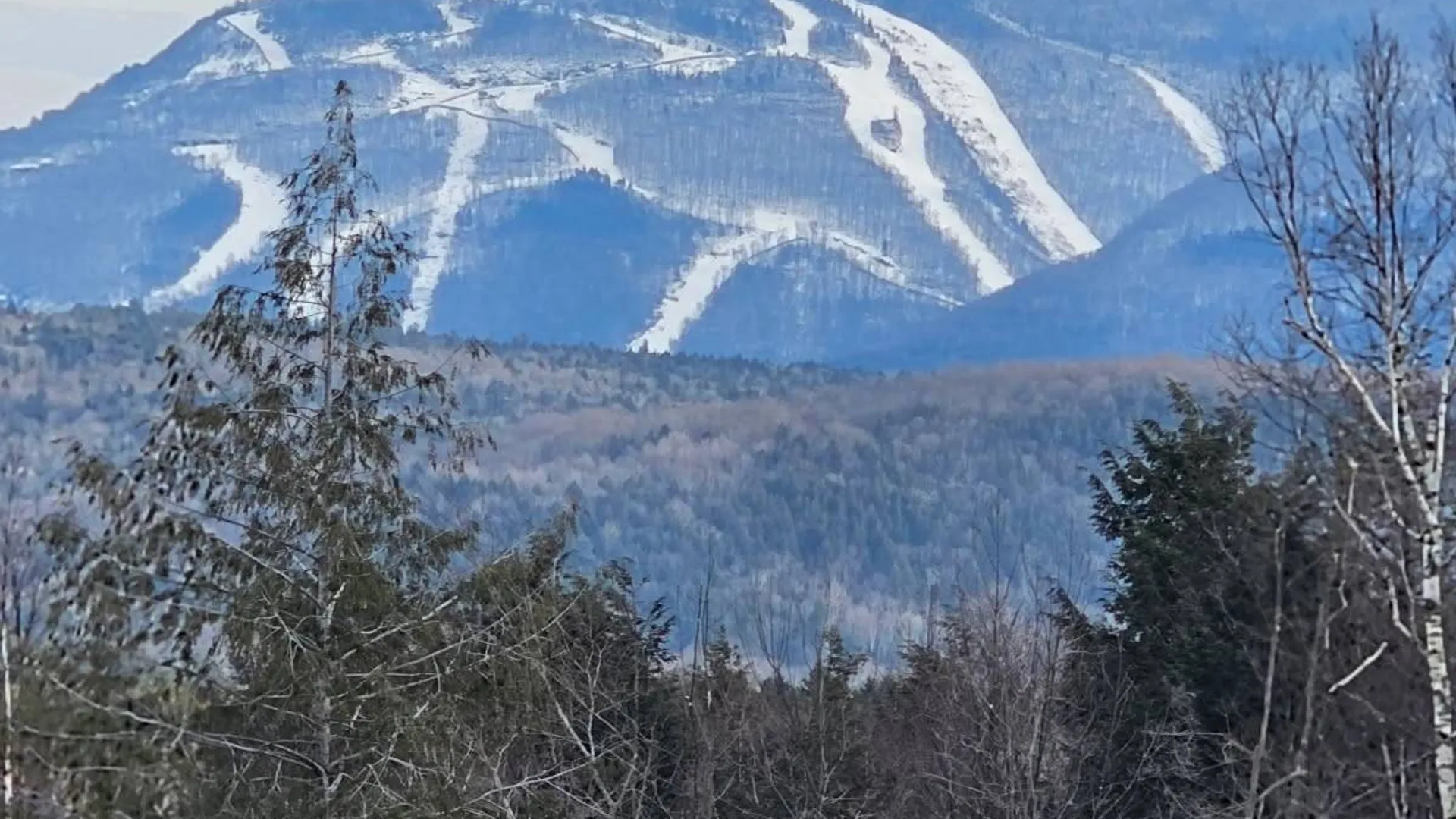 Property at 89 zinno rd, Ashland, NY 12407 34