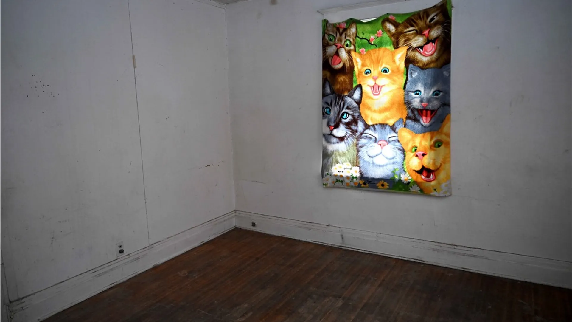 Property at 606 Monroe Avenue, Rochester, NY 14607 19