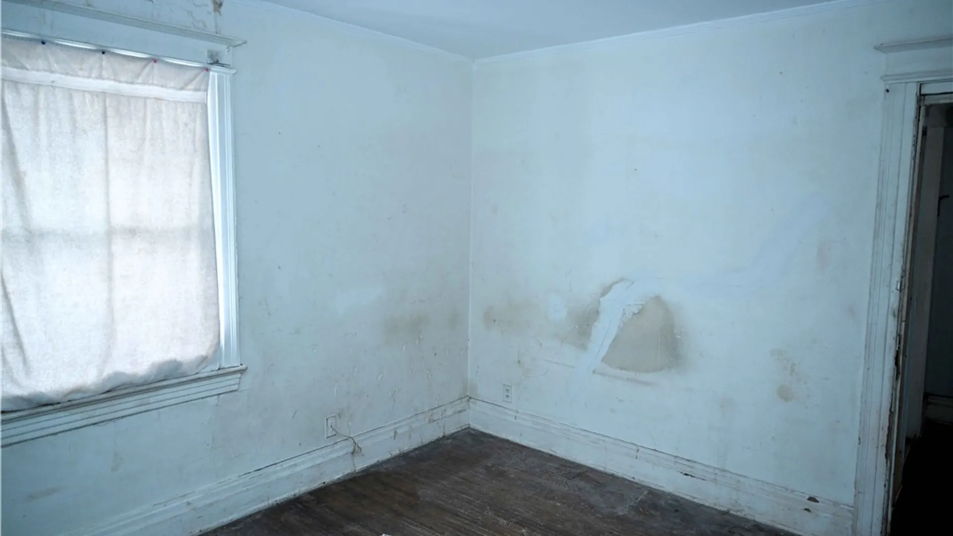 Property at 606 Monroe Avenue, Rochester, NY 14607 21