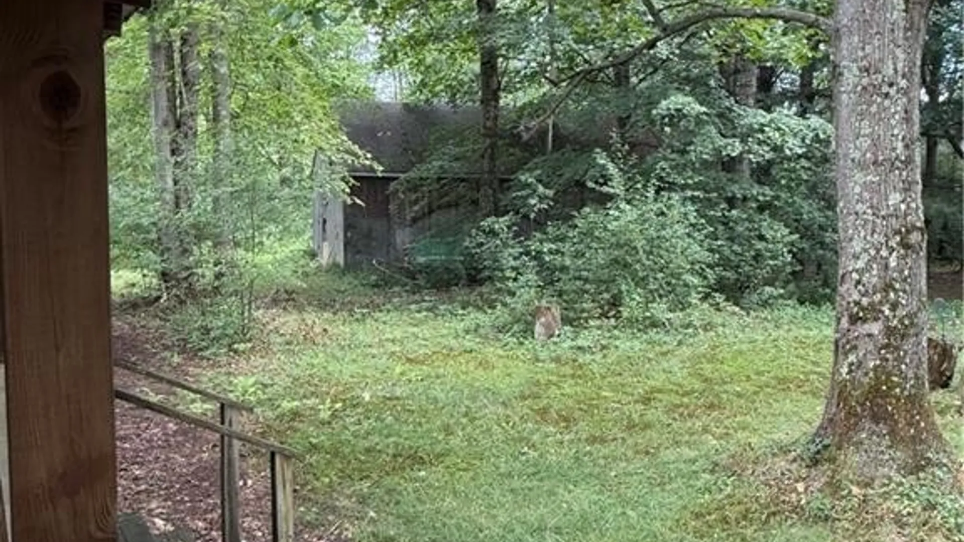 Property at 679 Hog Back Road, Albion, NY 13302 5