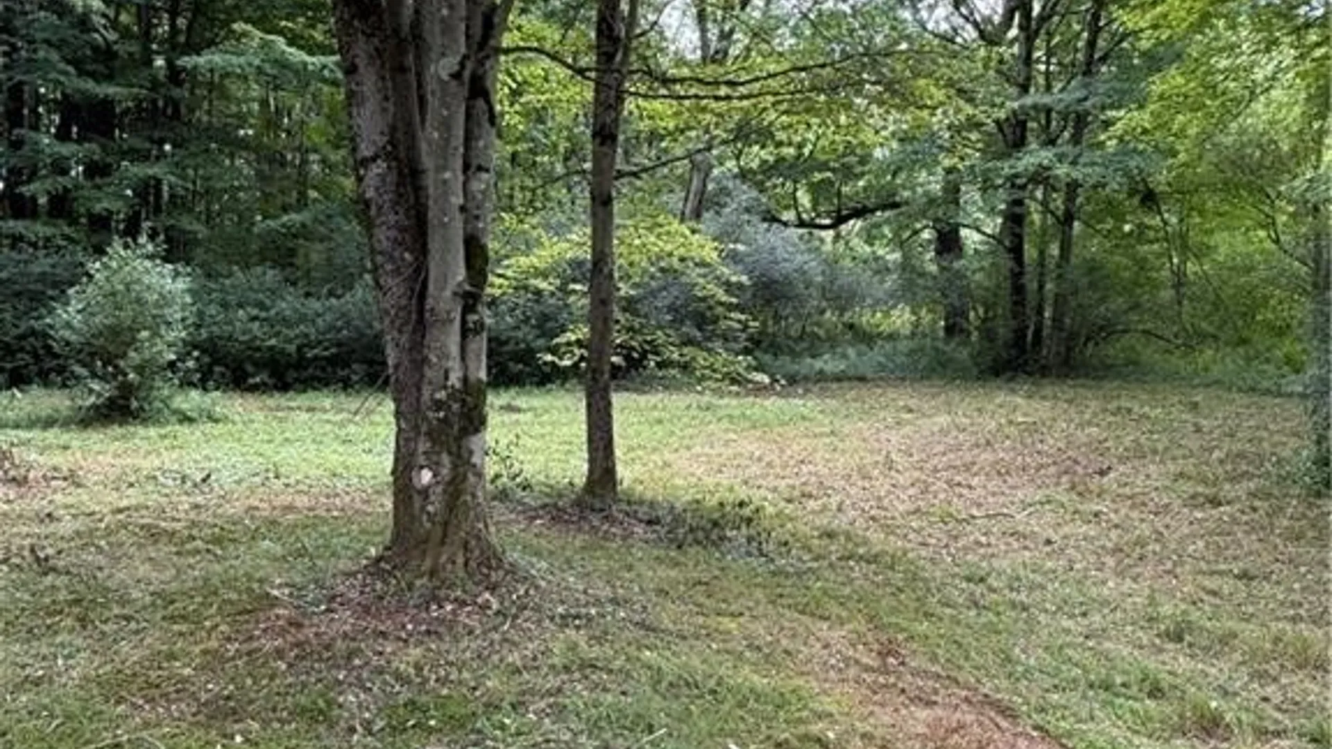 Property at 679 Hog Back Road, Albion, NY 13302 7