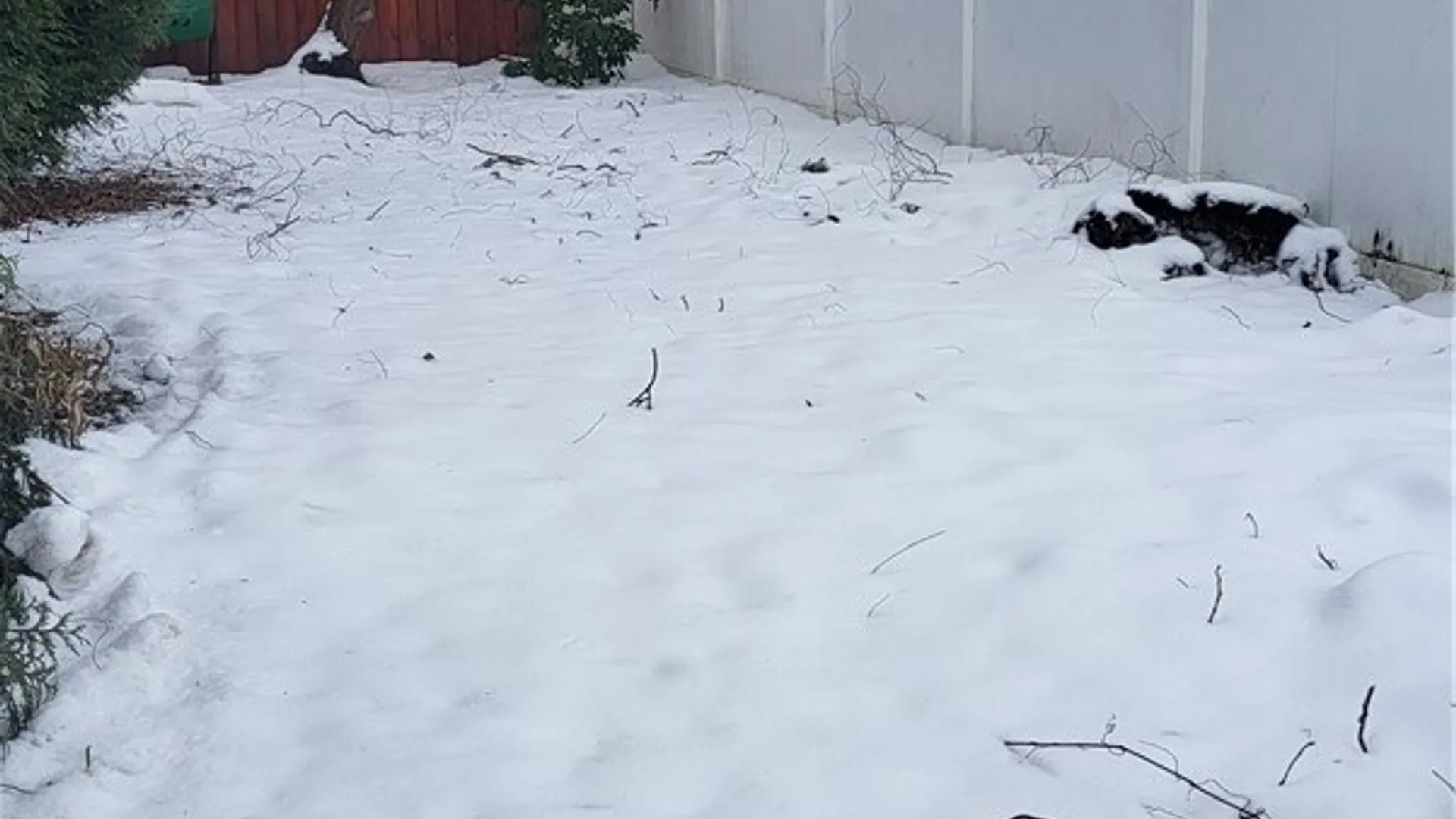 Property at 240 78th Street, Niagara Falls, NY 14304 33