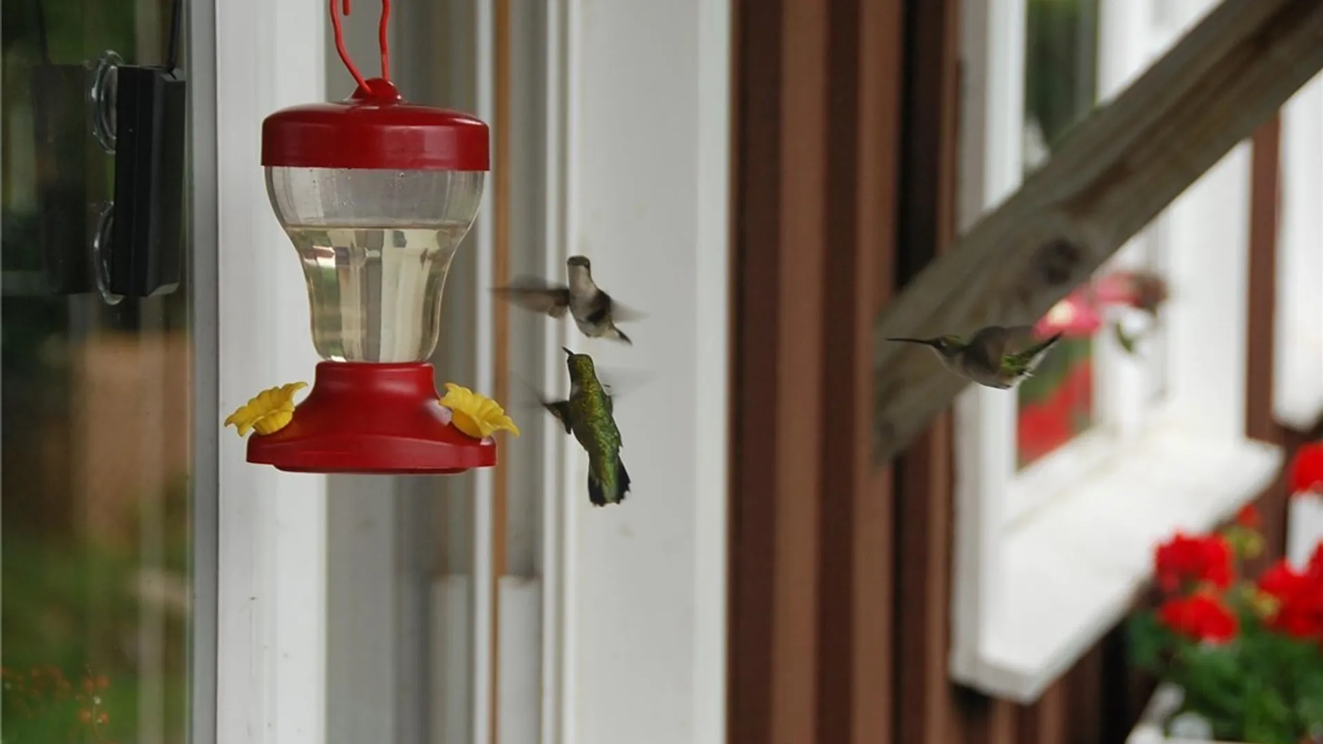 Property at 2591 Stillwater Road, Webb, NY 13367 7