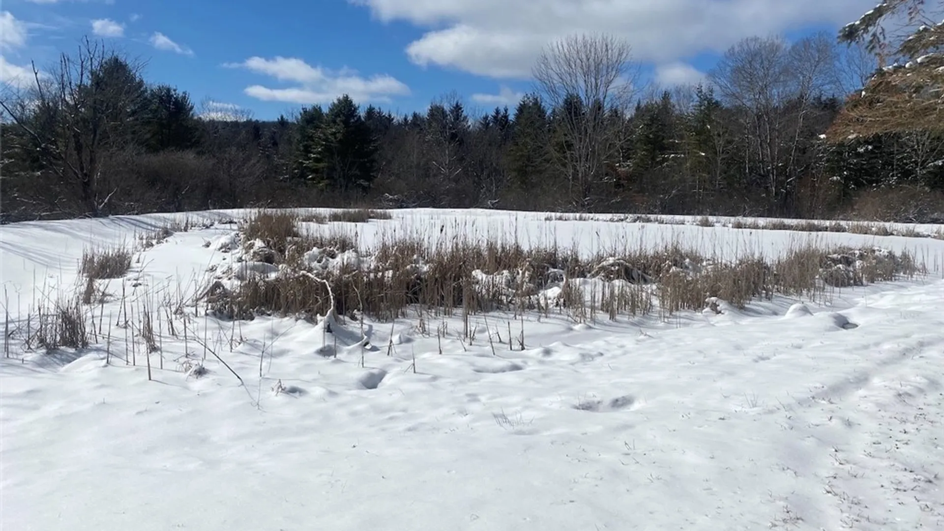 Property at 8567 Hill Road, Allen, NY 14711 20