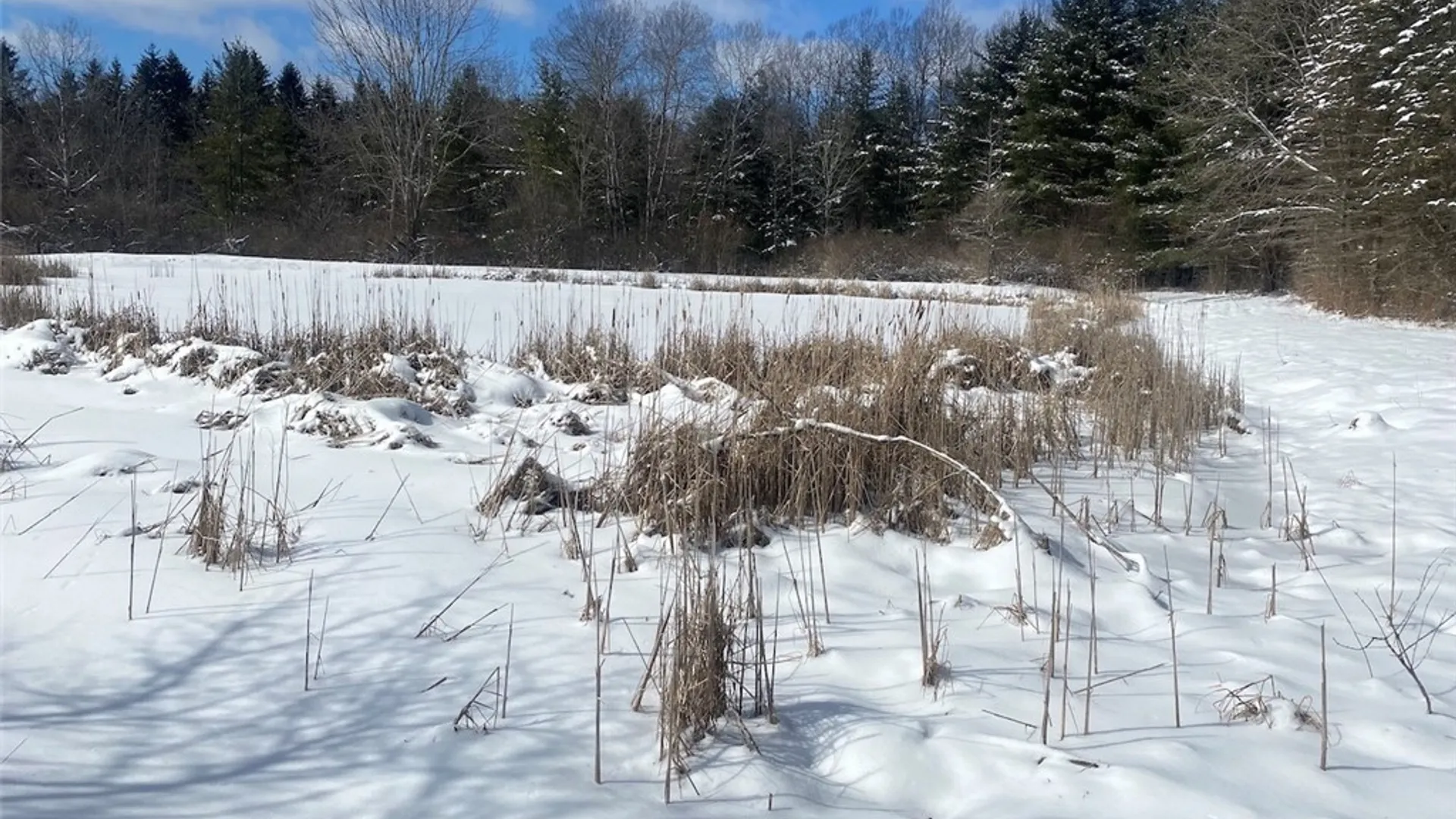 Property at 8567 Hill Road, Allen, NY 14711 21