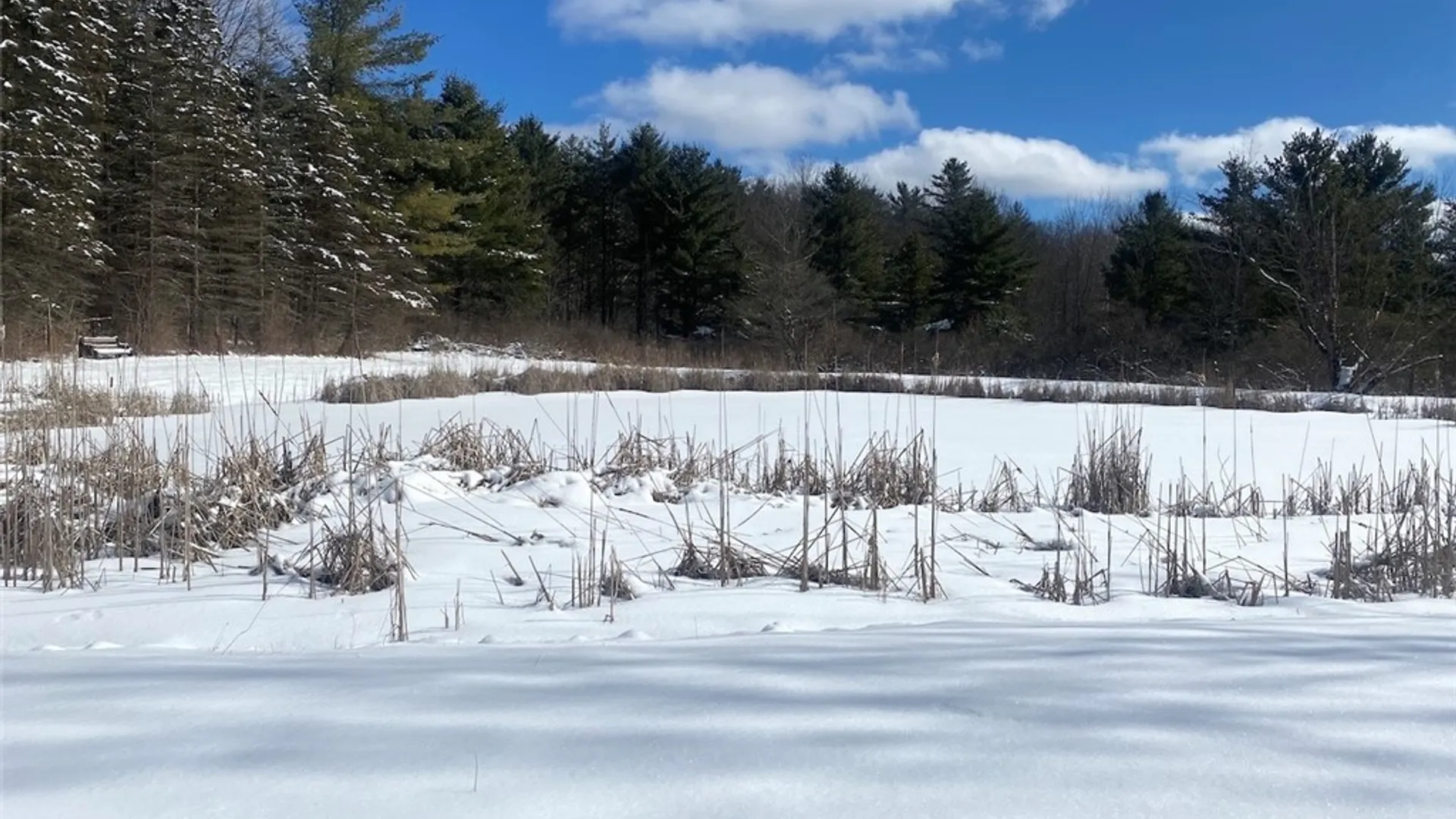 Property at 8567 Hill Road, Allen, NY 14711 22