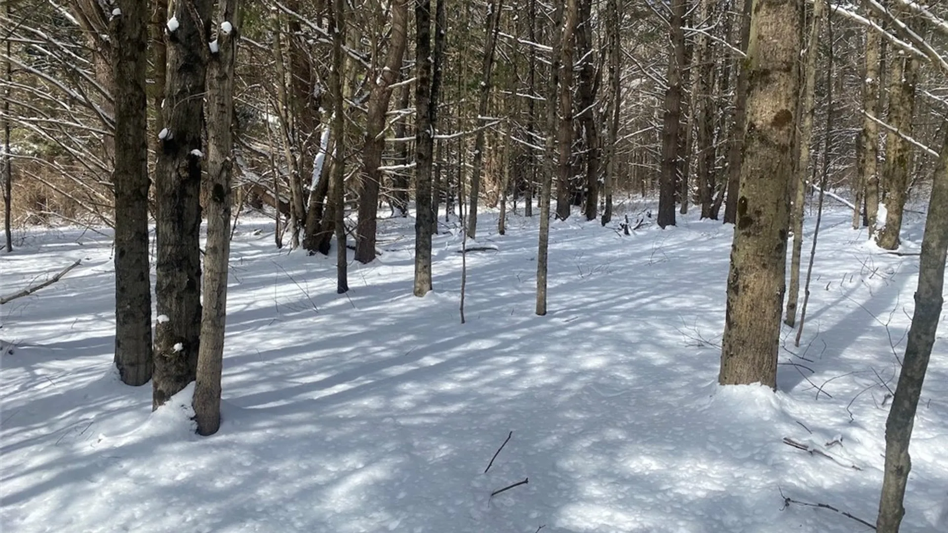 Property at 8567 Hill Road, Allen, NY 14711 23