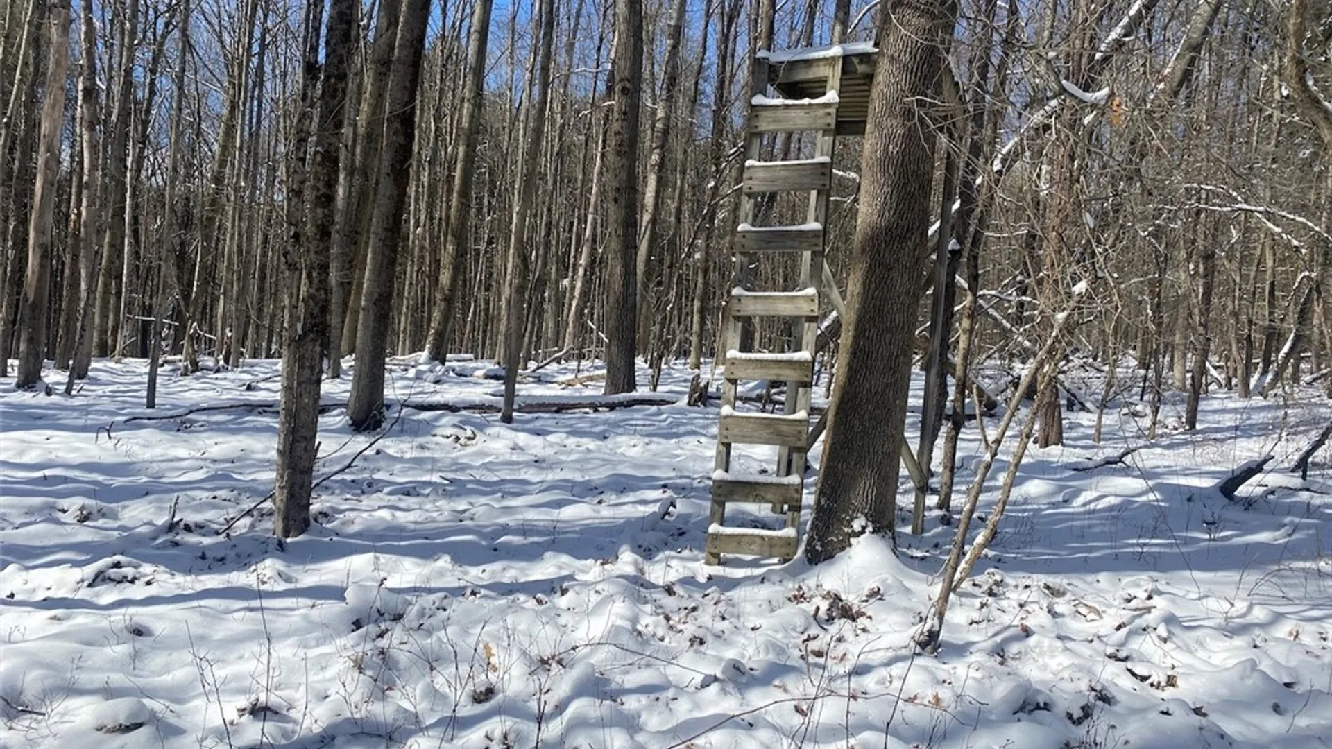 Property at 8567 Hill Road, Allen, NY 14711 26