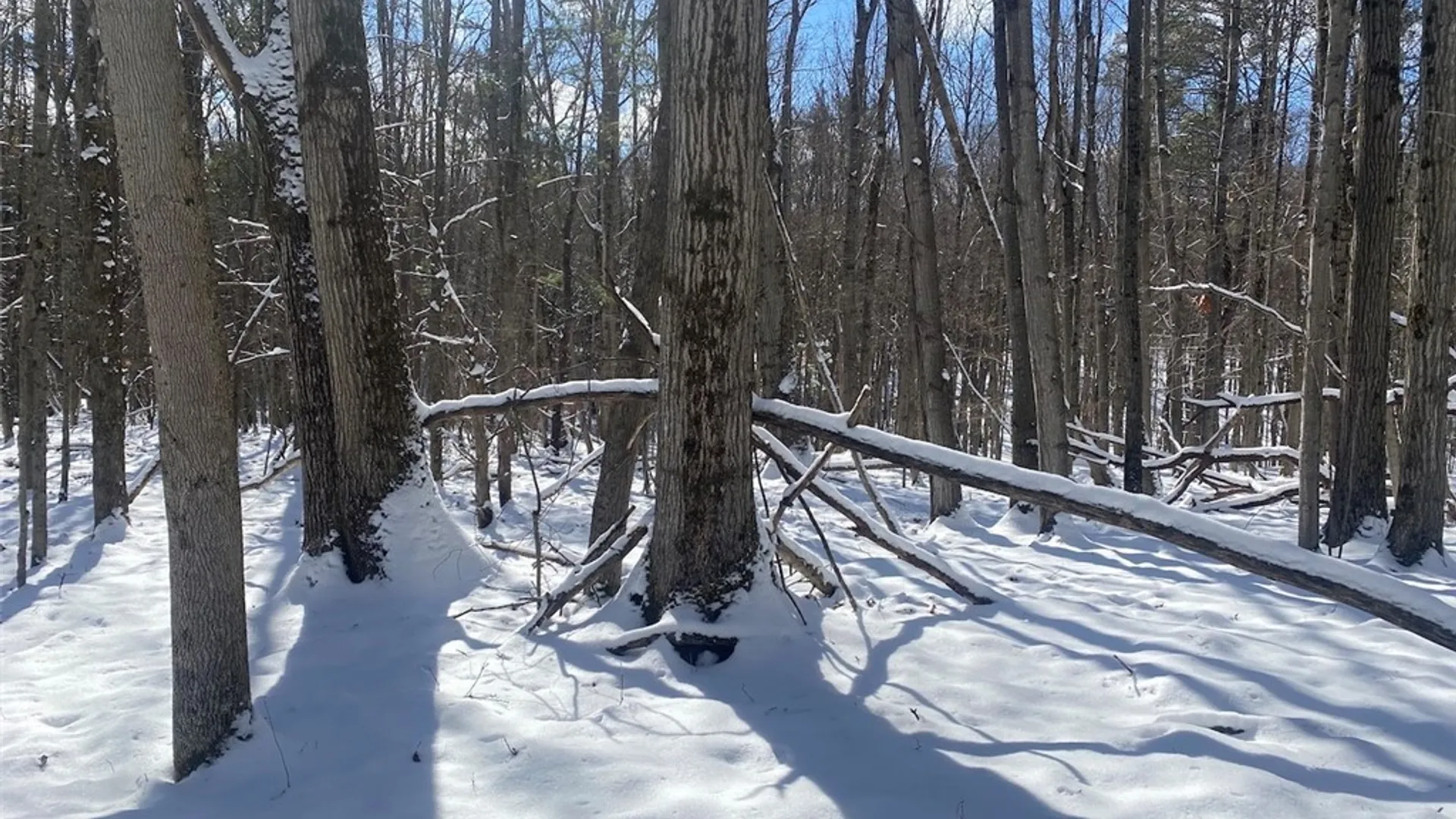 Property at 8567 Hill Road, Allen, NY 14711 27