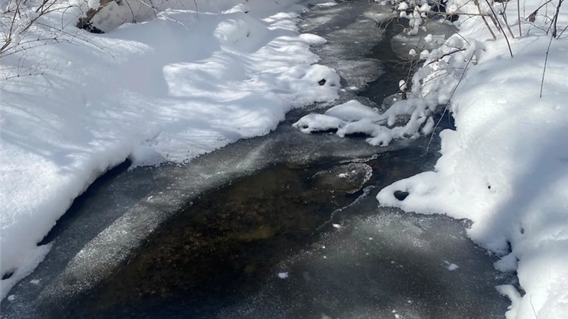 Property at 8567 Hill Road, Allen, NY 14711 29