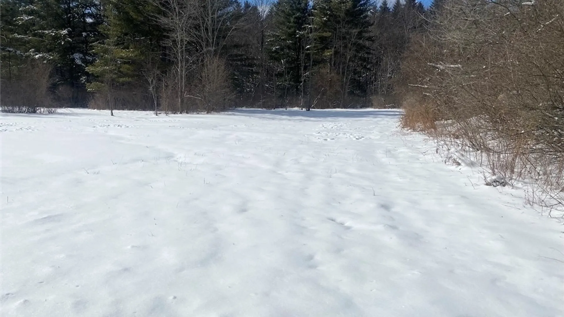 Property at 8567 Hill Road, Allen, NY 14711 32