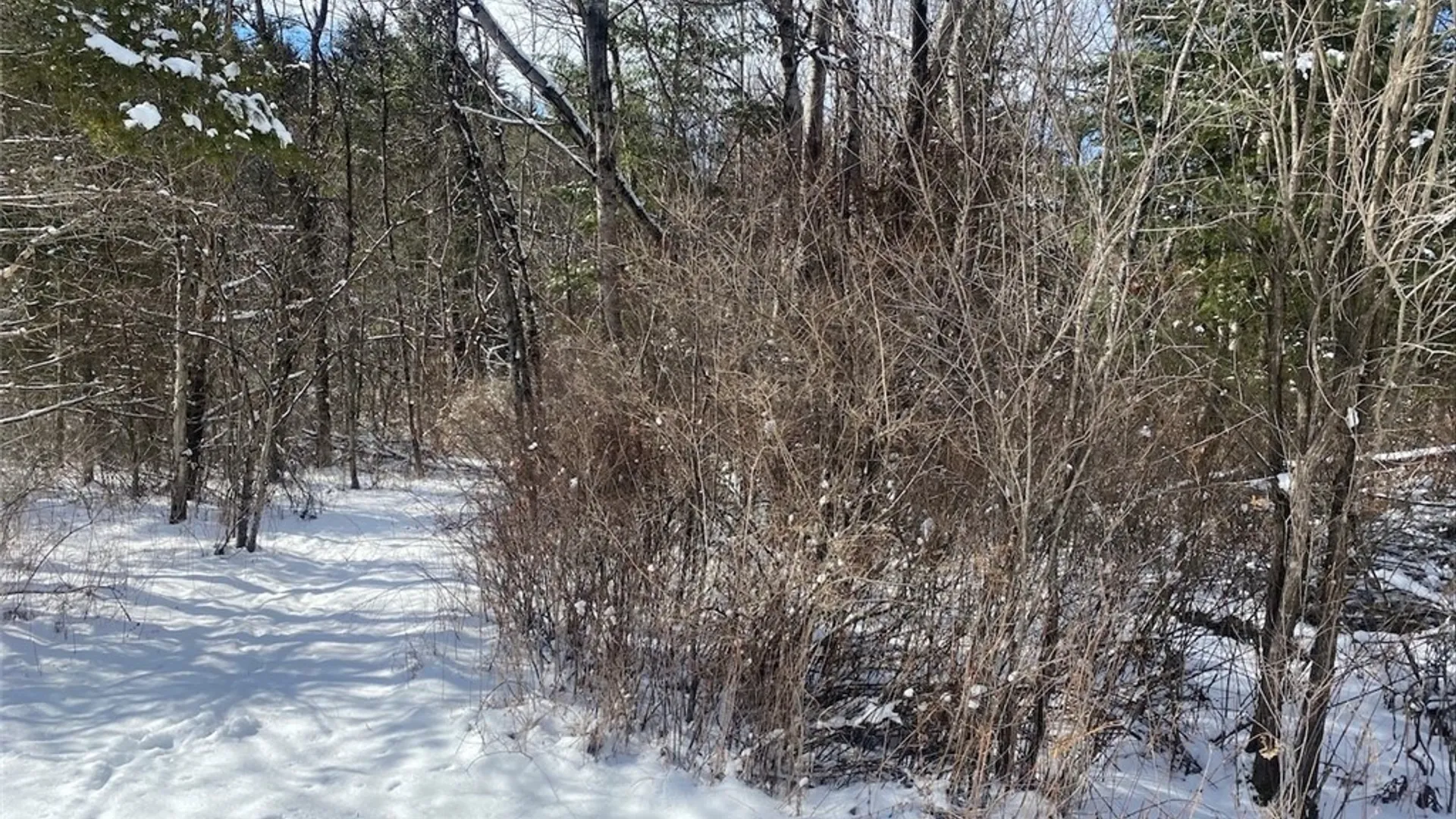 Property at 8567 Hill Road, Allen, NY 14711 34