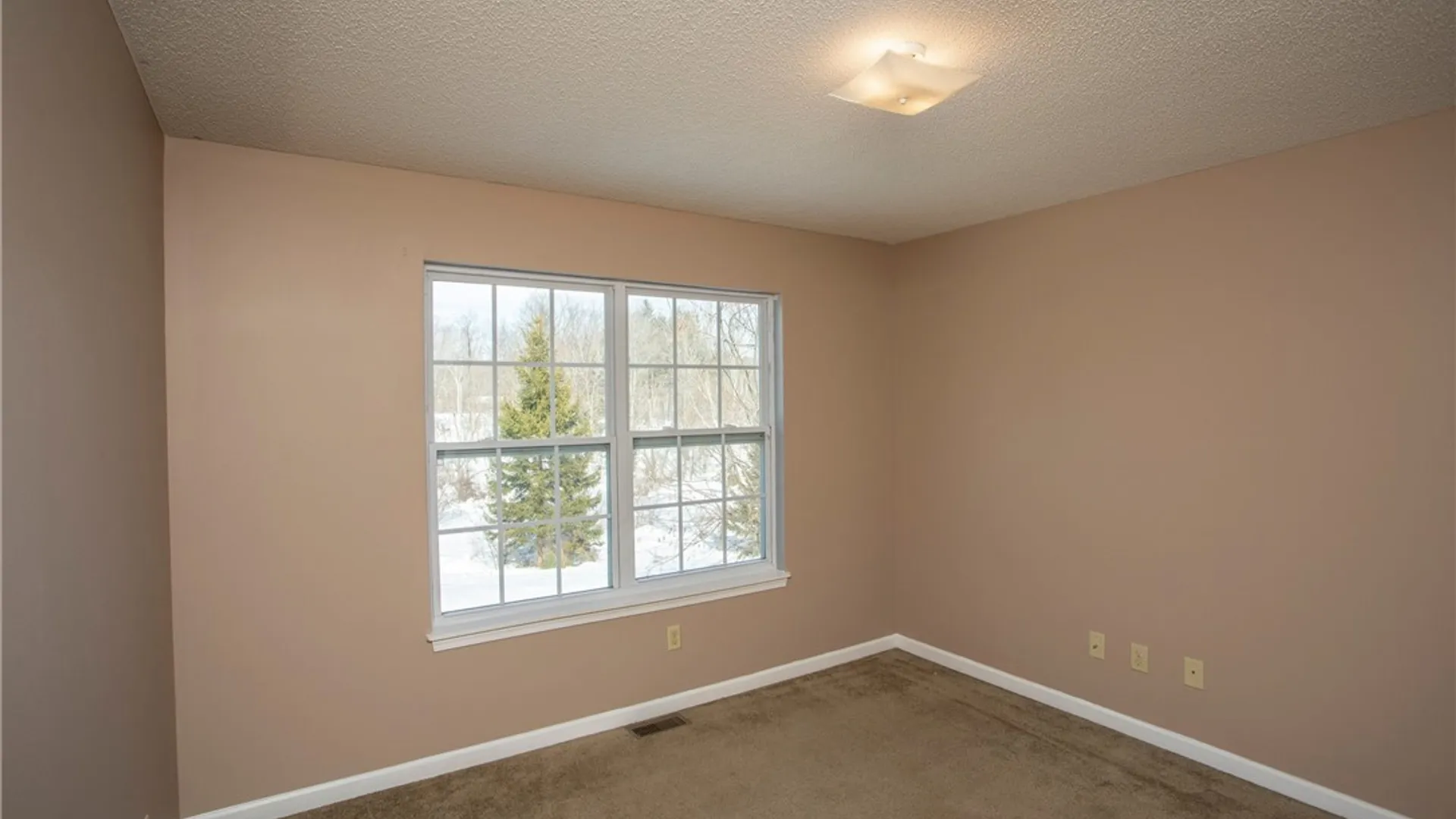 Property at 9422 Partridge Road, Colden, NY 14033 17