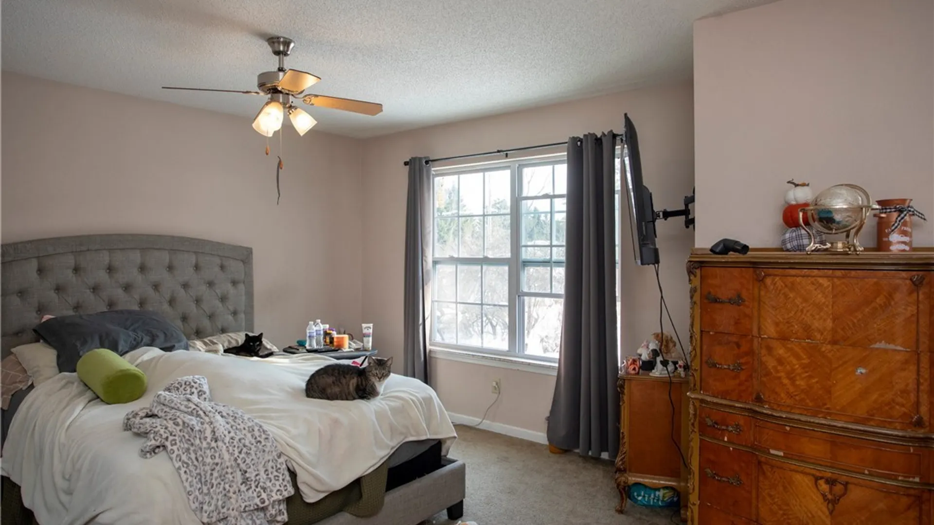 Property at 9422 Partridge Road, Colden, NY 14033 28