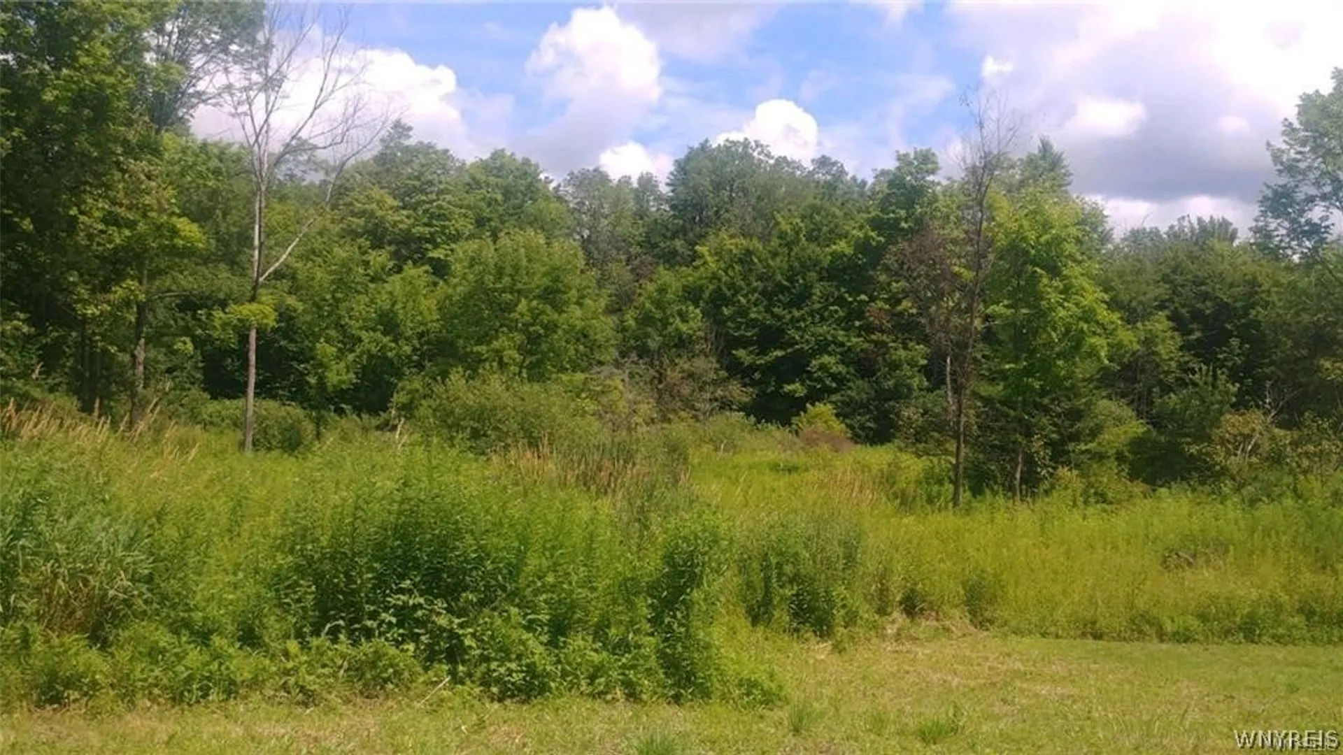 Property at 9422 Partridge Road, Colden, NY 14033 34