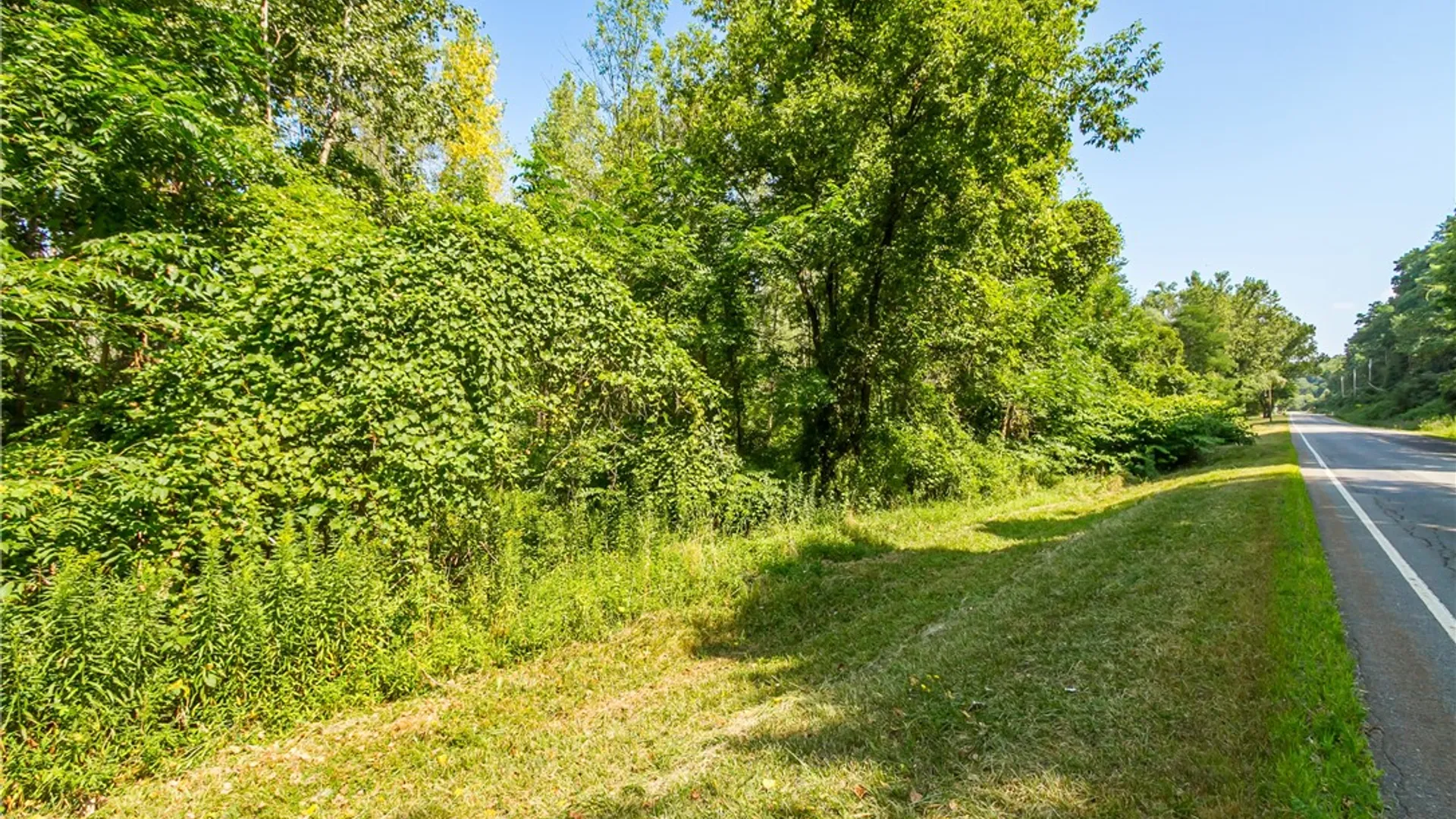 Property at 0 Blue Cut Road, Arcadia, NY 14513 2