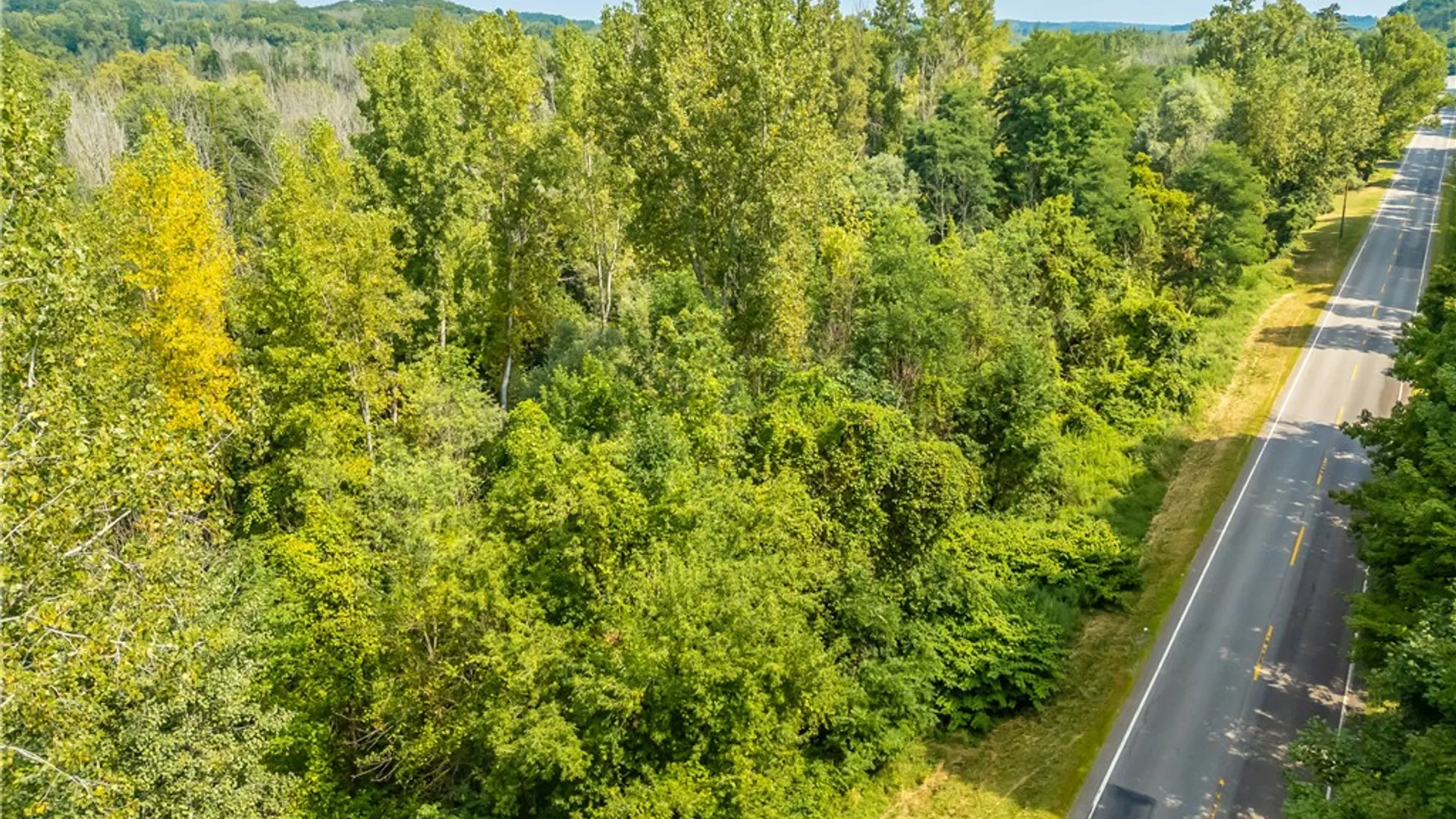 Property at 0 Blue Cut Road, Arcadia, NY 14513 5