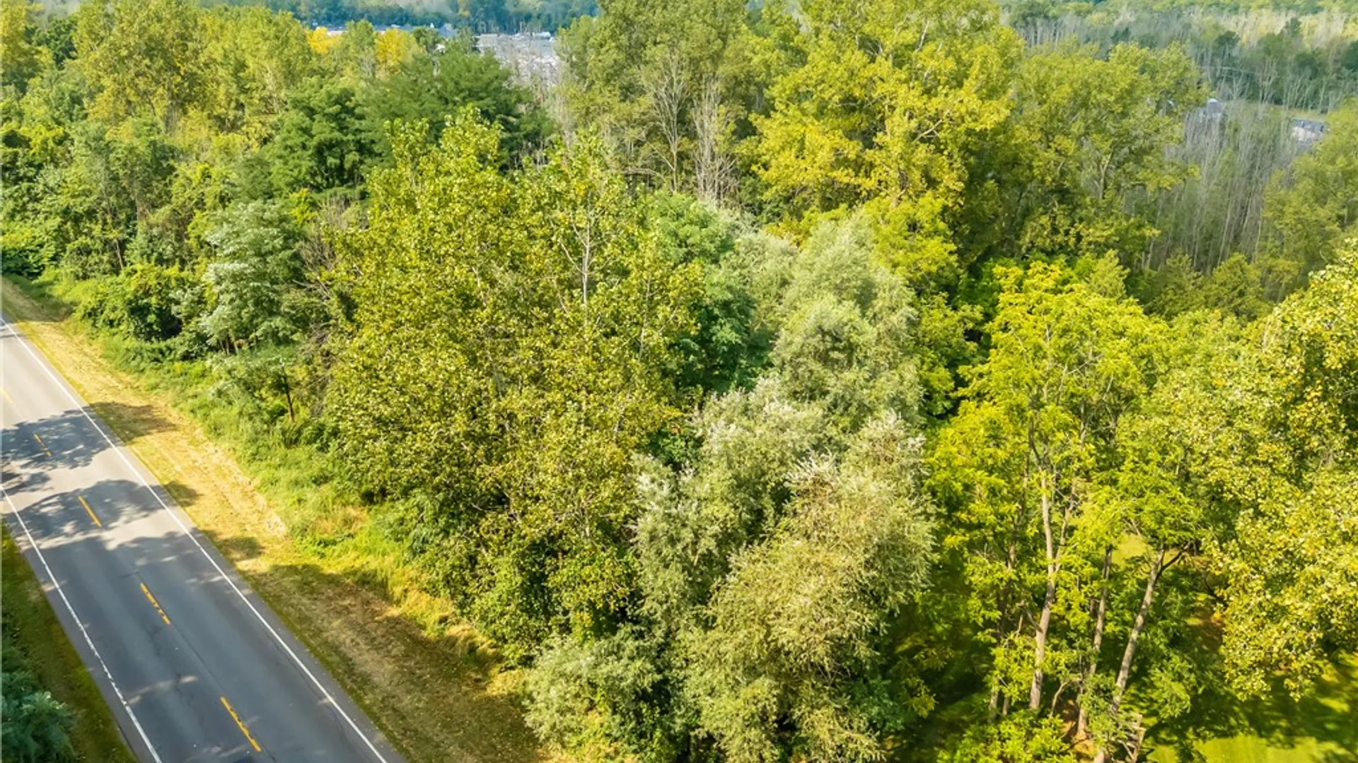 Property at 0 Blue Cut Road, Arcadia, NY 14513 6