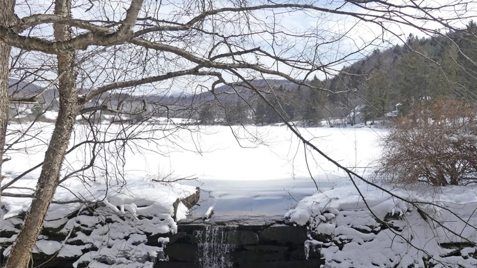 Property at State Highway 28, Bovina, NY 13731 13