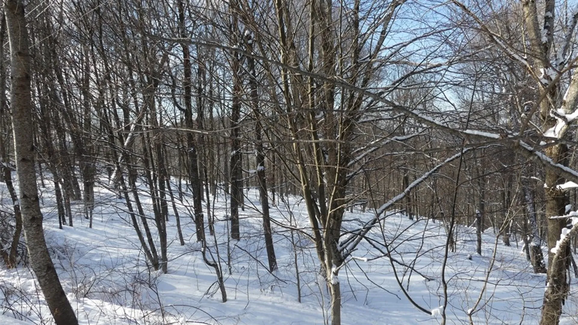 Property at State Highway 28, Bovina, NY 13731 2