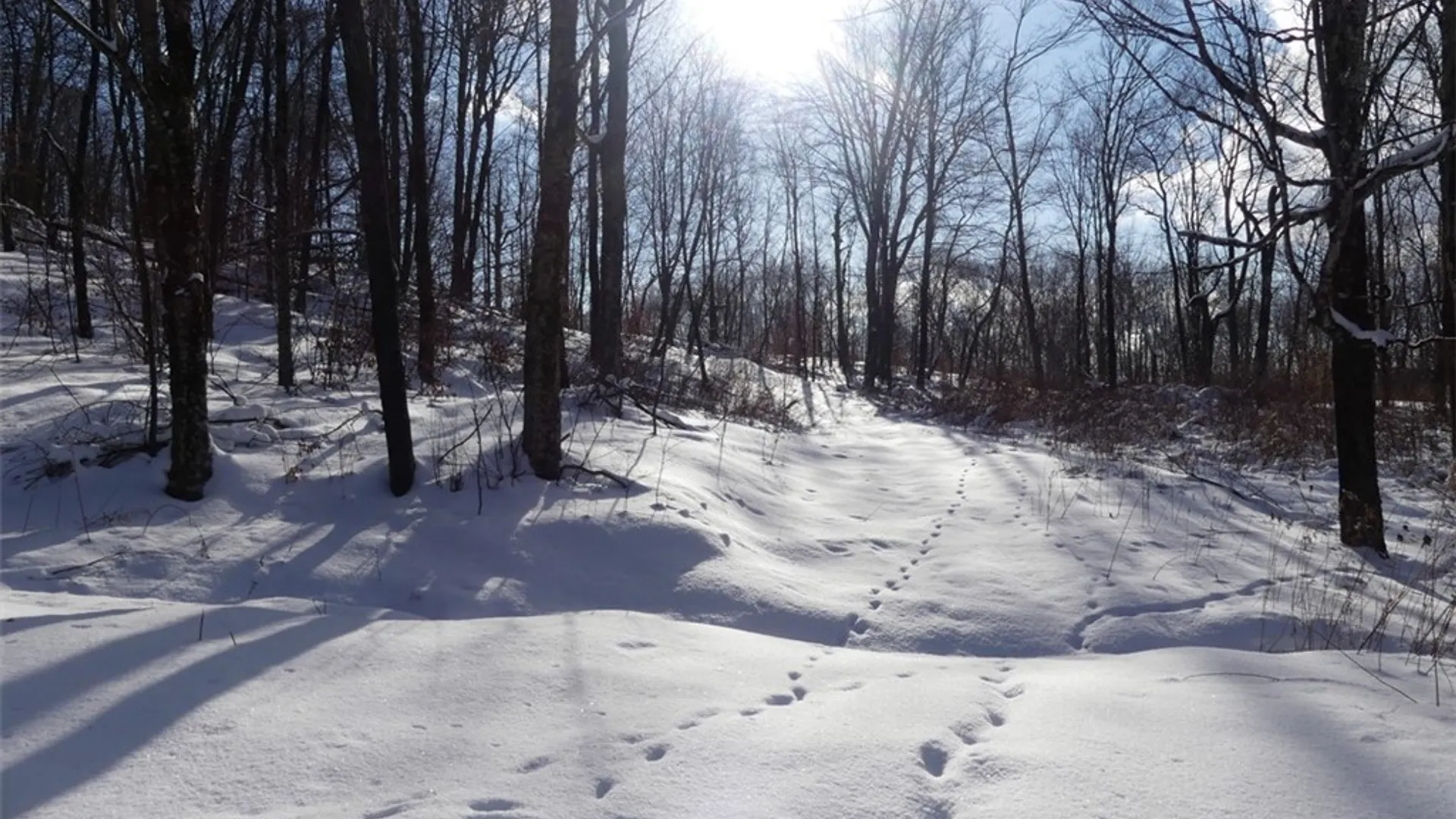 Property at State Highway 28, Bovina, NY 13731 3