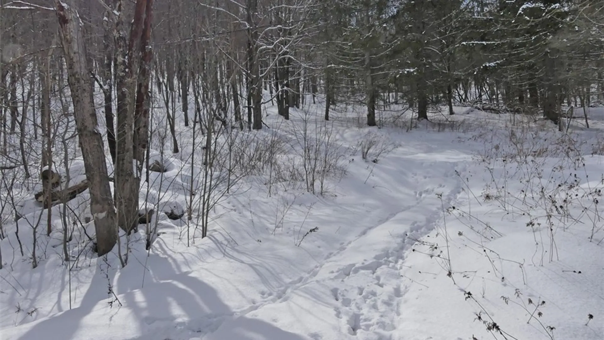 Property at State Highway 28, Bovina, NY 13731 6