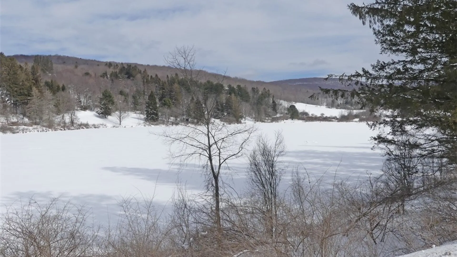 Property at State Highway 28, Bovina, NY 13731 9