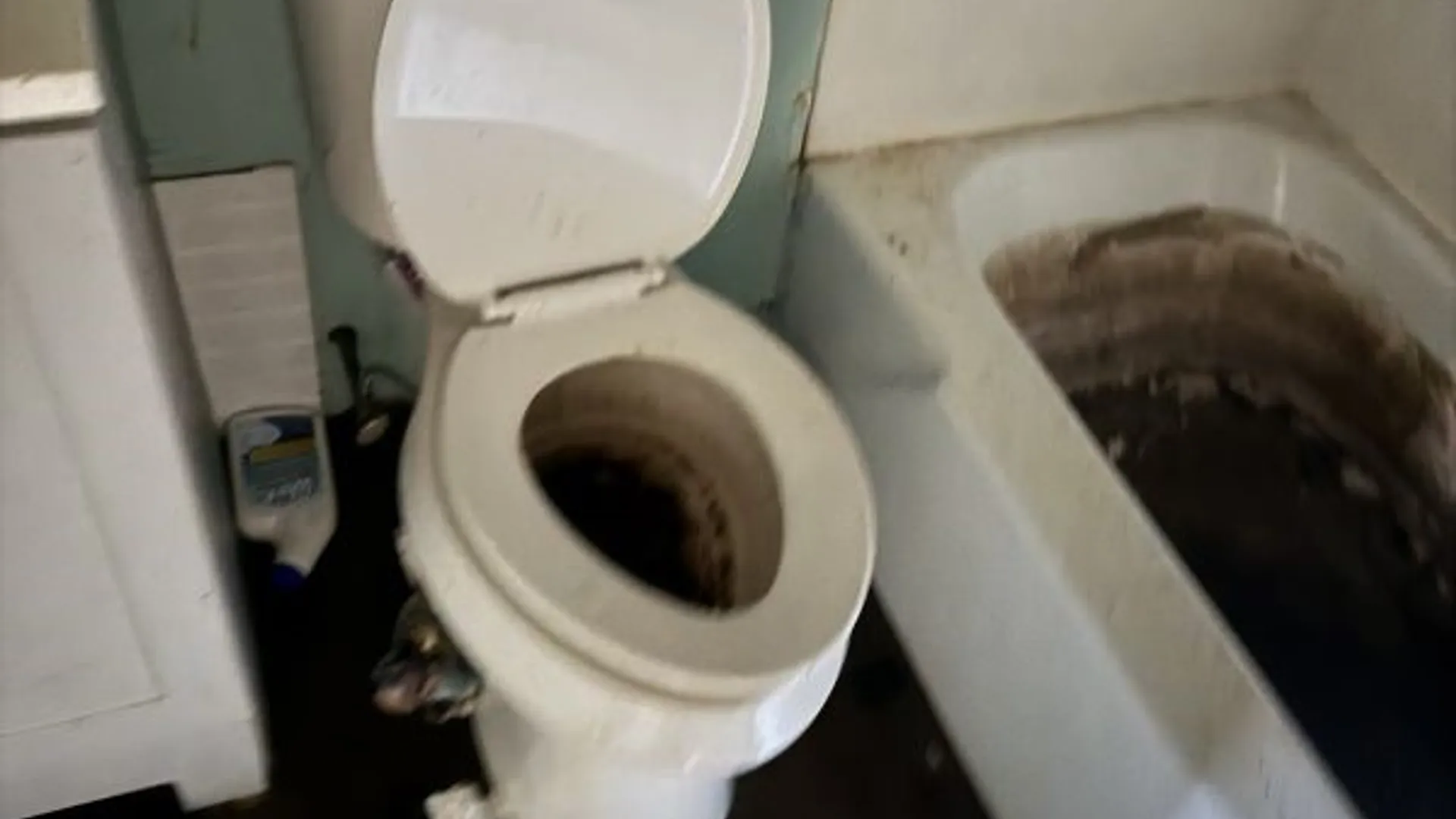 Property at 141 Pine Street, Lockport City, NY 14094 15