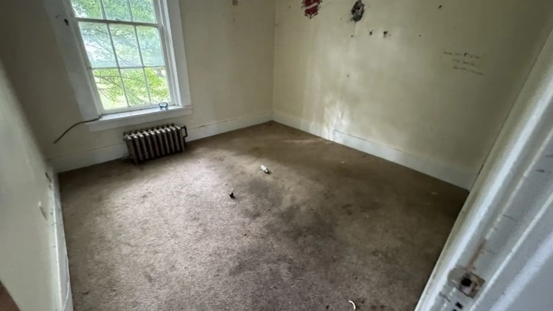 Property at 141 Pine Street, Lockport City, NY 14094 5