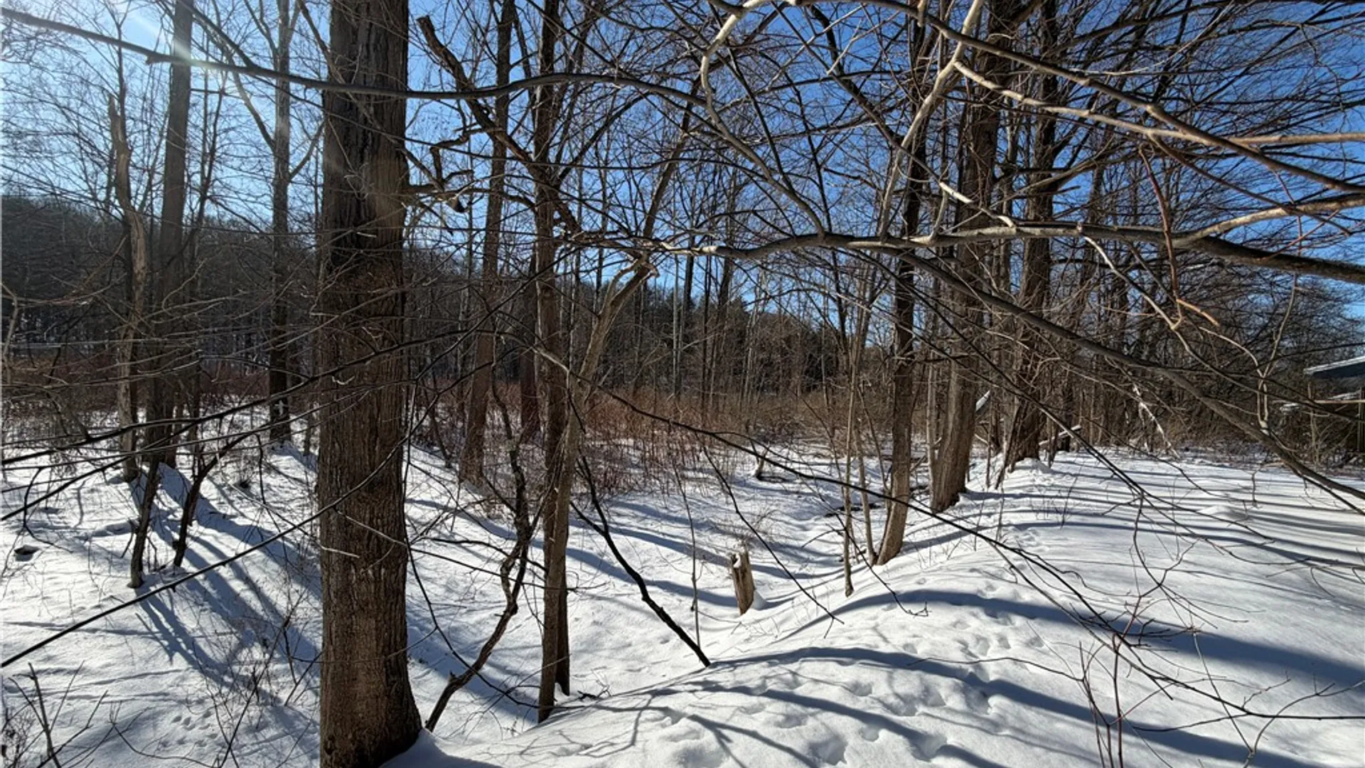 Property at 230 Brooktondale Road, Caroline, NY 14817 17