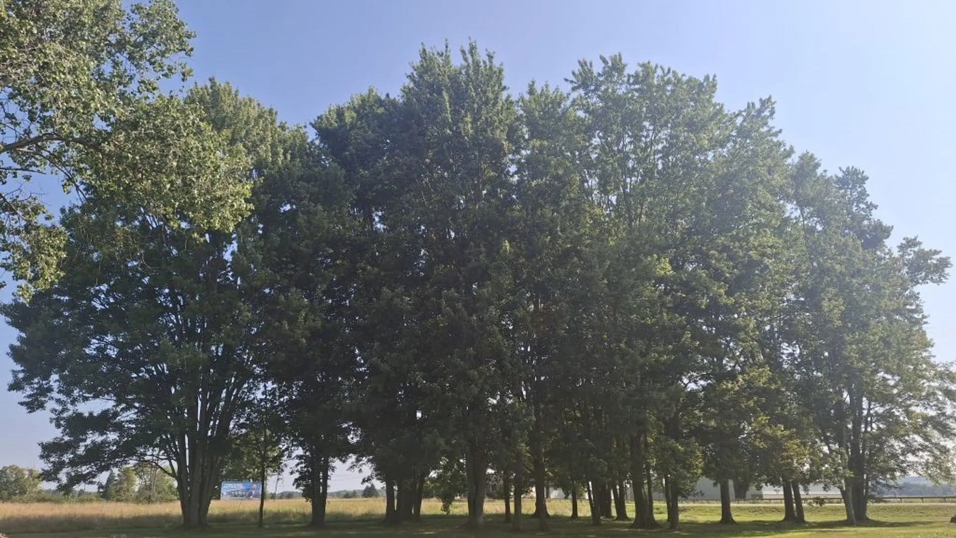 Property at 12011 Route 62, Dayton, NY 14138 24