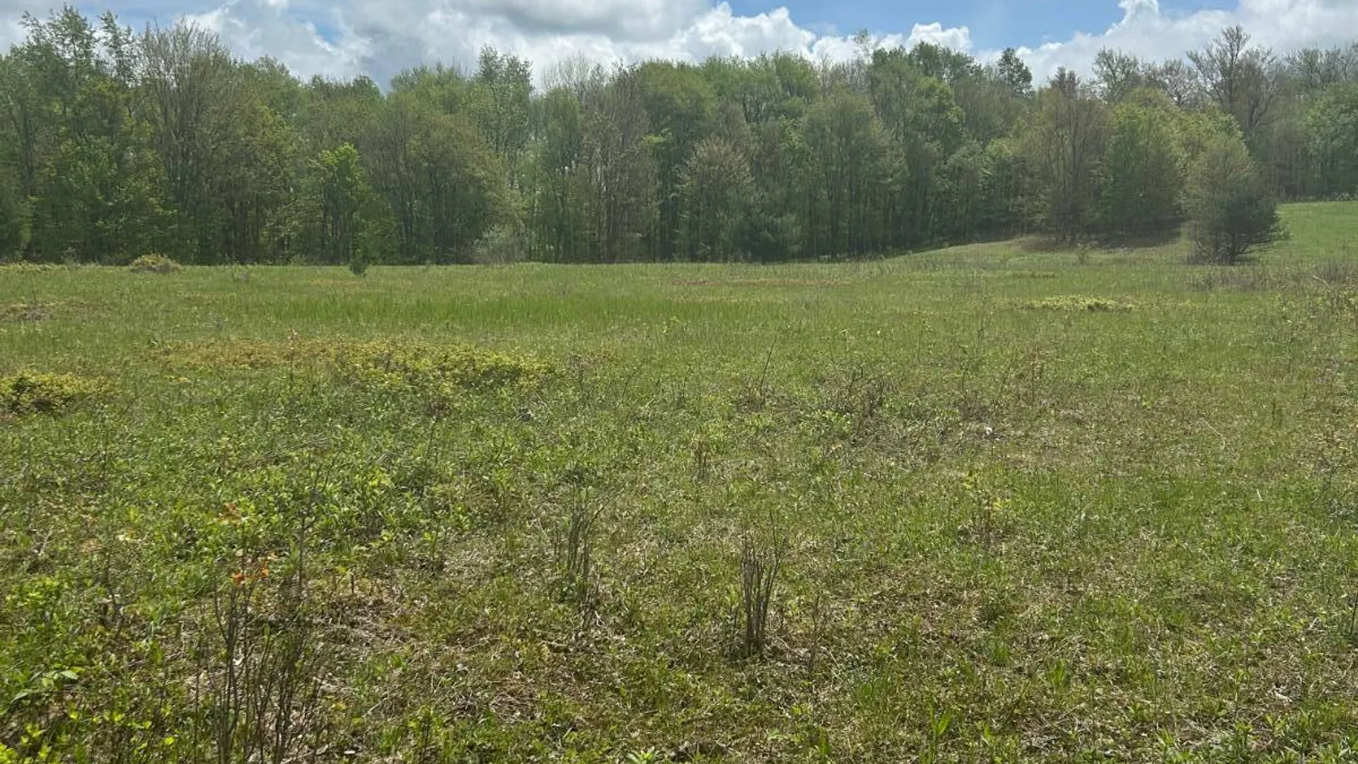 Property at 0 Appaloosa Trl, Walton, NY 13856 11