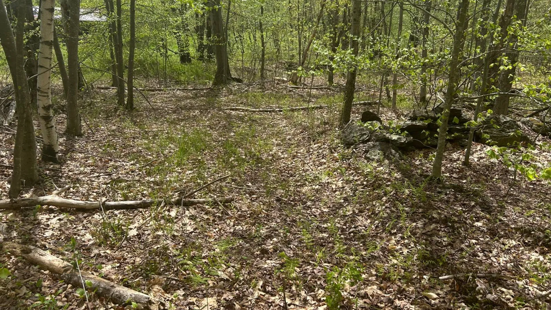 Property at 0 Appaloosa Trl, Walton, NY 13856 14