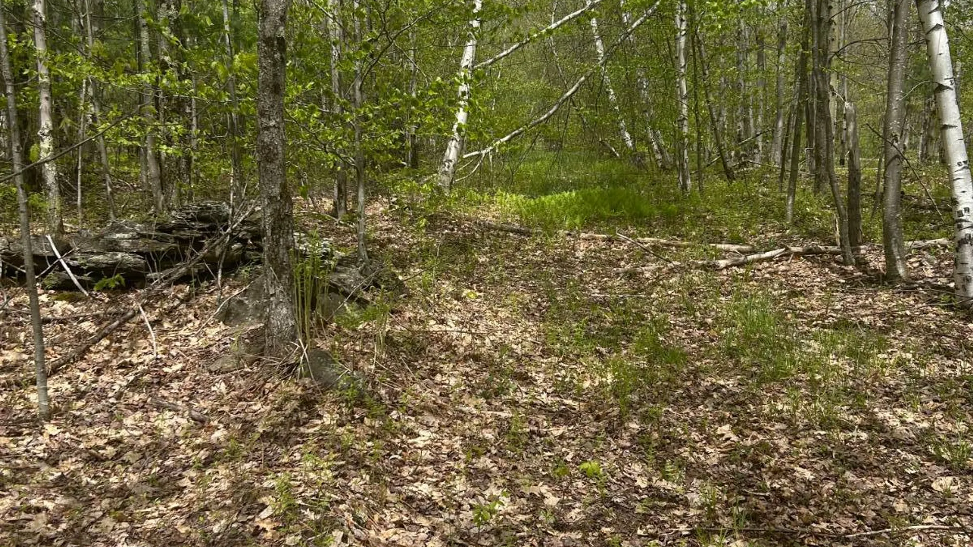 Property at 0 Appaloosa Trl, Walton, NY 13856 16